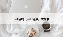 .net招聘（net 程序开发招聘）